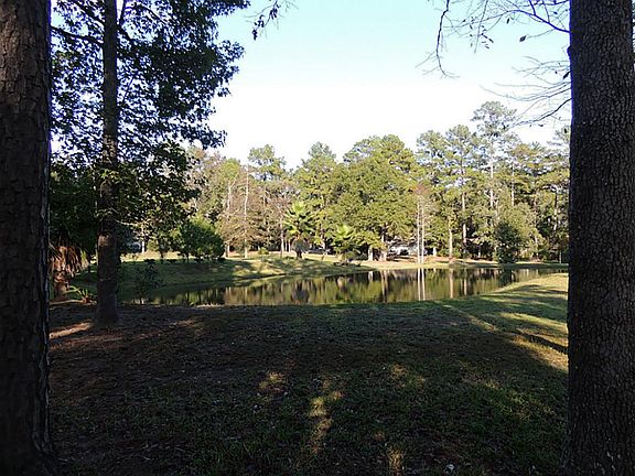 Plenty of shade trees!