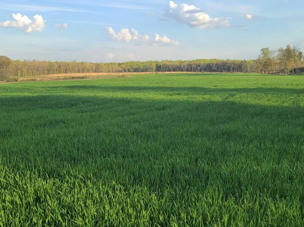 LOT 2 Cedar Fork Rd, Ruther Glen, VA 22546