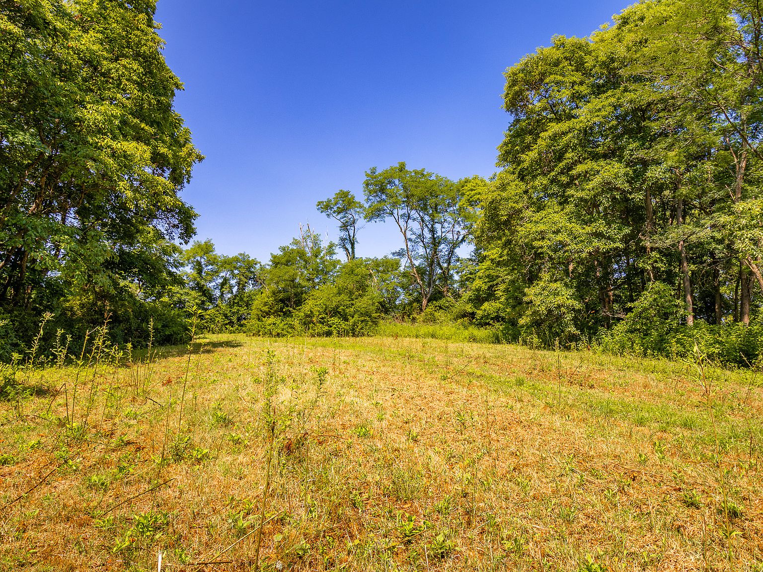 7370 W County Road 580 N, Scipio, IN 47273 MLS 21939459 Zillow