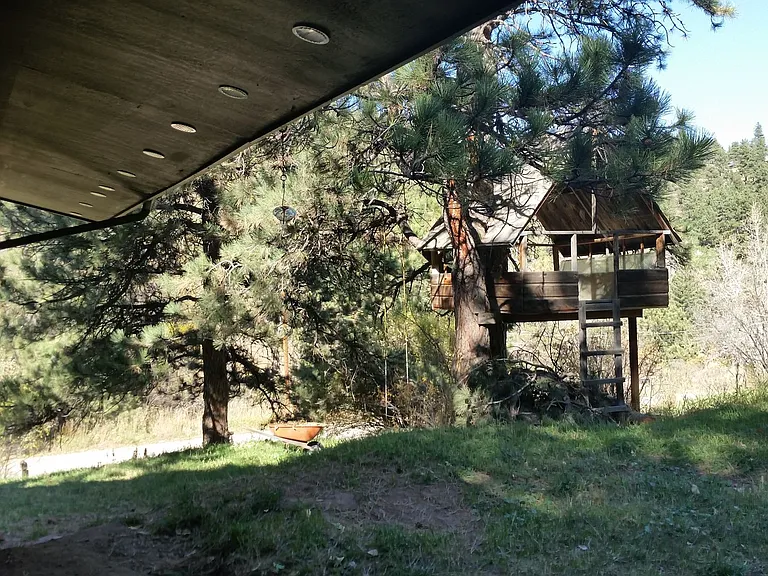 853 Wagonwheel Gap Rd — Photo 7