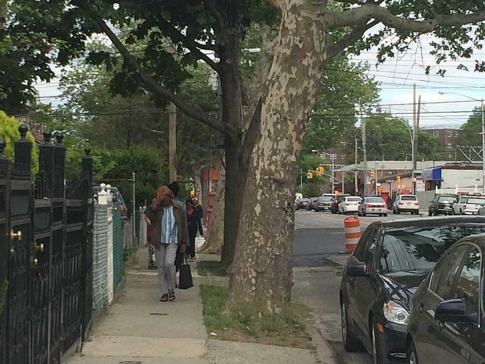 Tree lined block