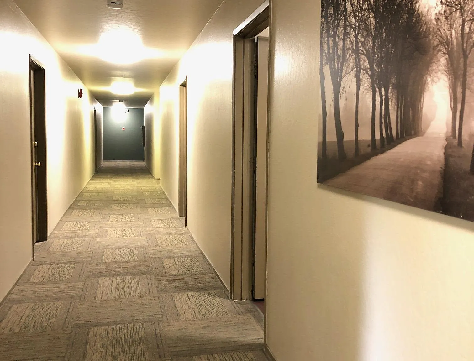 10 Mulberry Court — Photo 4