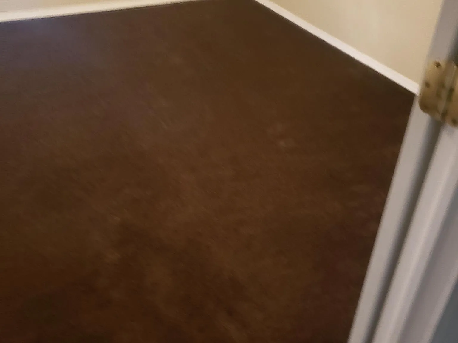 2 bed, 1.5 bath, 1000 sqft, $650 — Photo 3