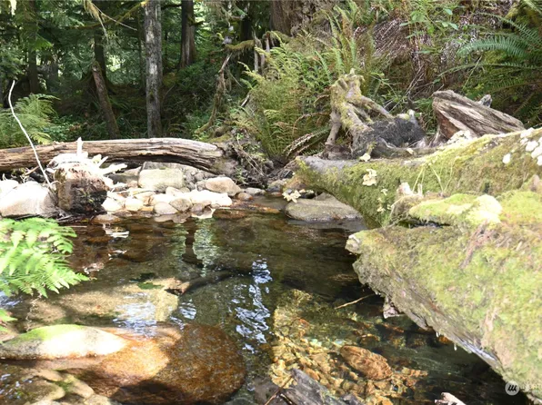 52016 S Riverside Road, Gold Bar, WA 98251