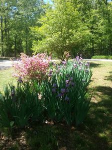 27 Foxtail Dr, Hartwell, GA, 30643