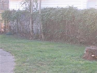 3rd image of 14129 Carrydale Ave