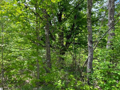 Marilla Rd, Copemish, MI, 49625