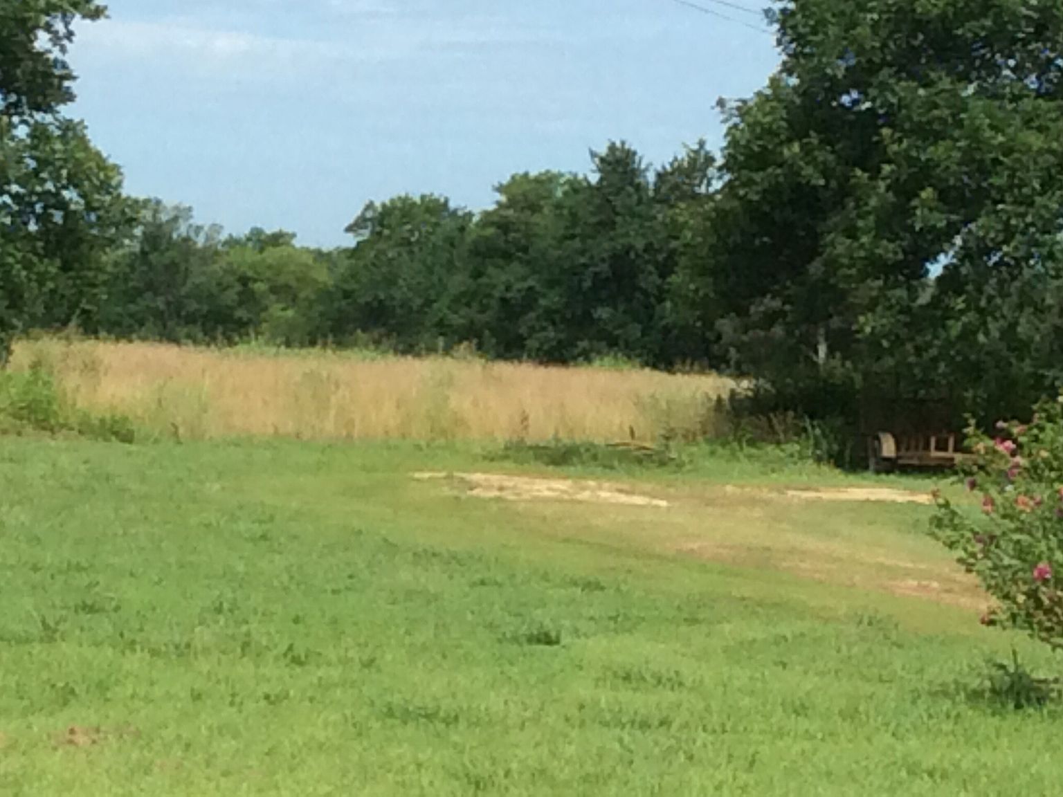 9 Old West Point Rd, Starkville, MS 39759 Zillow