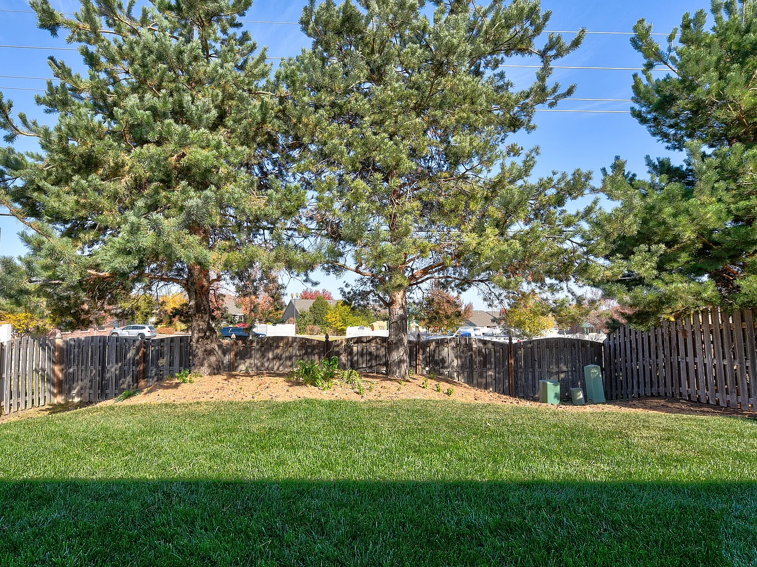 4 bed, 2480 sqft, $2,950 — Photo 4