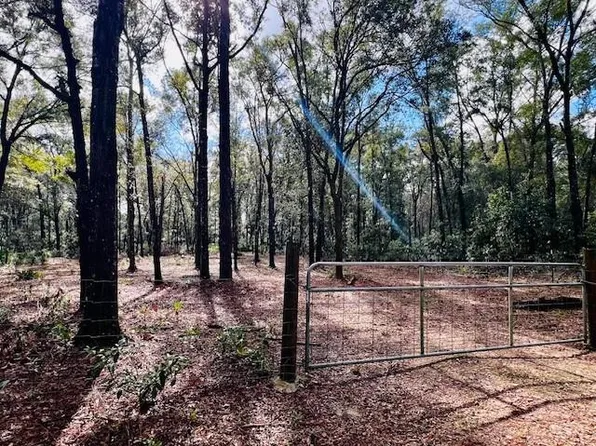  NW 36th Ln, Bell, FL 32619