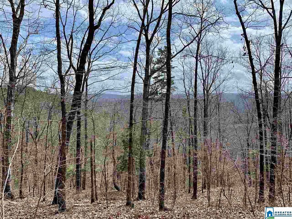 2nd image of 8791 Pine Mountain Rd Lot 40