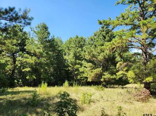 14192 County Road 1131, Flint, TX 75762