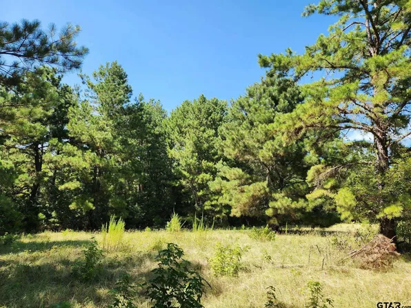 14192 County Road 1131, Flint, TX 75762