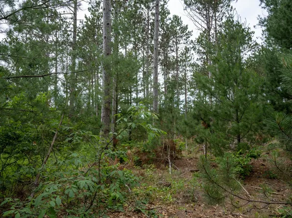 1 Bollig, Nekoosa, WI 54457