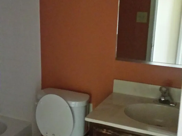 upstairs hallway bathroom
