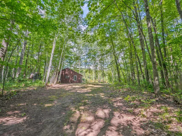 17680 Twelve Mile Rd, Leroy, MI 49655