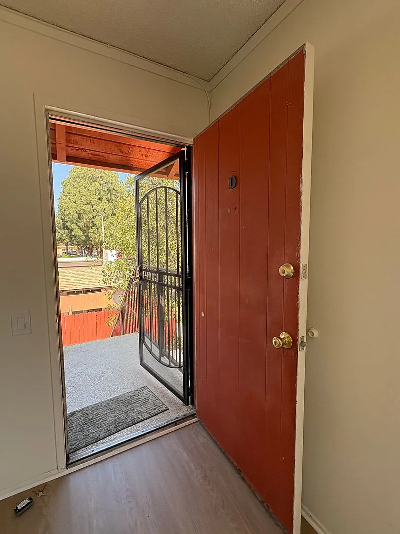 saf2220 — Photo 4