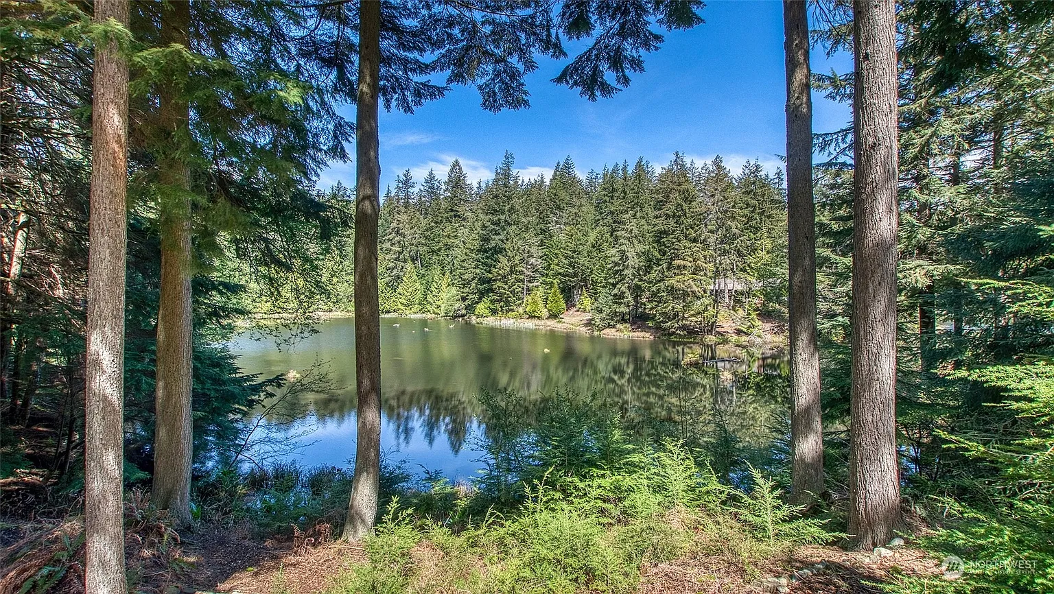 62 Lily Pad Lane photo 1
