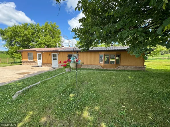 41806 Davenport St NE, Braham, MN 55006