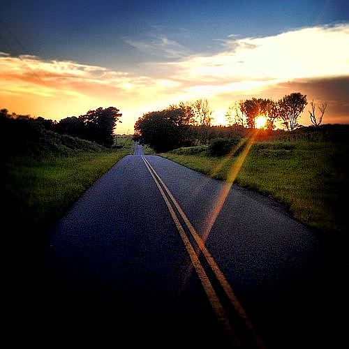 The road to High Pine
