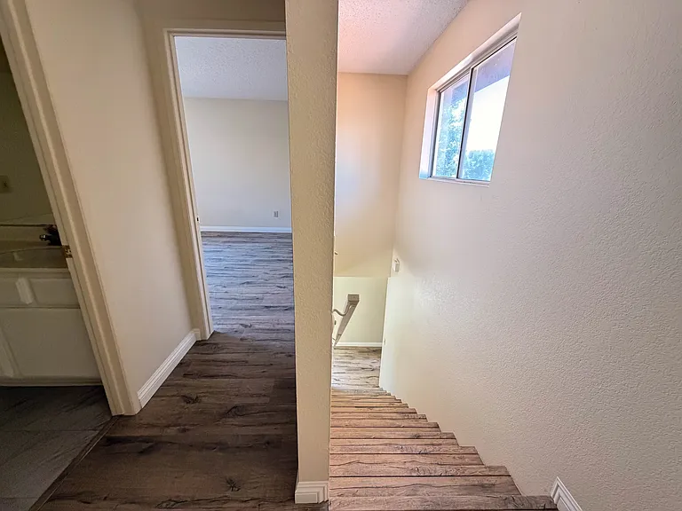 28378 Encanto Dr — Photo 19