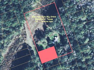 300 Yancey Big Drink, Shepherd, TX 77371