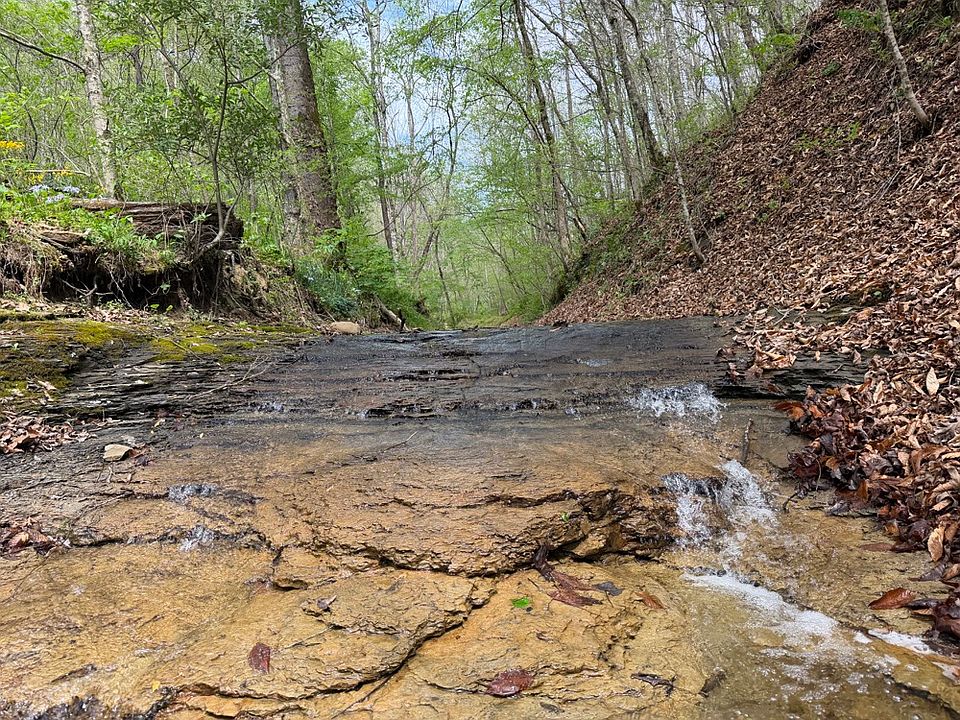 One of Many Natural Brooks on the Property