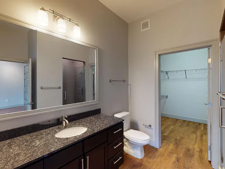 Apartment bathroom with wood-style flooring and spacious closet.