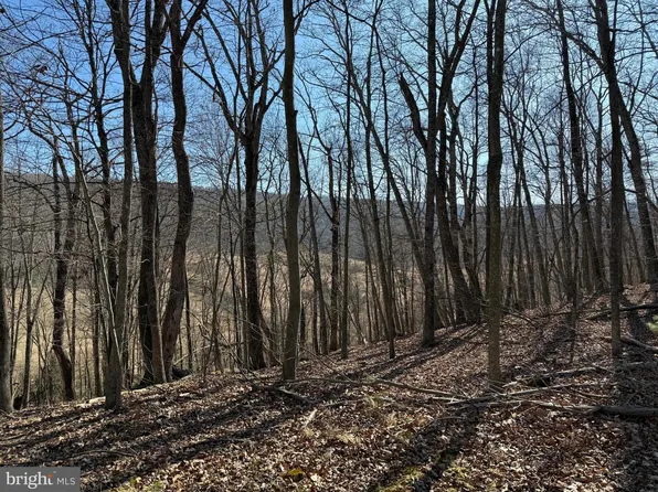 7&8 Ritters Hidden Valley, Capon Bridge, WV 26711