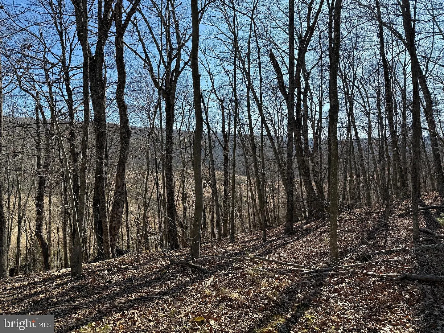 7&8 Ritters Hidden Valley photo 1