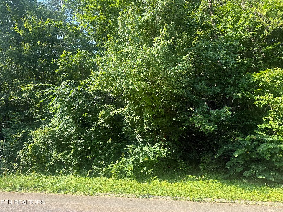 1st image of 7021 Shalidar Dr