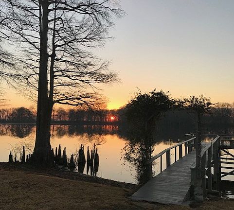 View from the back yard. 