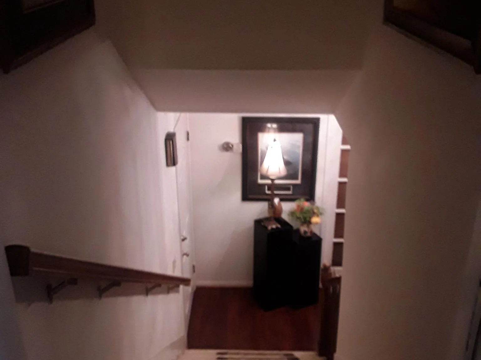 1 bed, 400 sqft, $900 — Photo 4