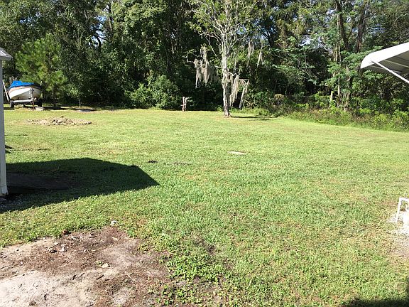 Back yard 