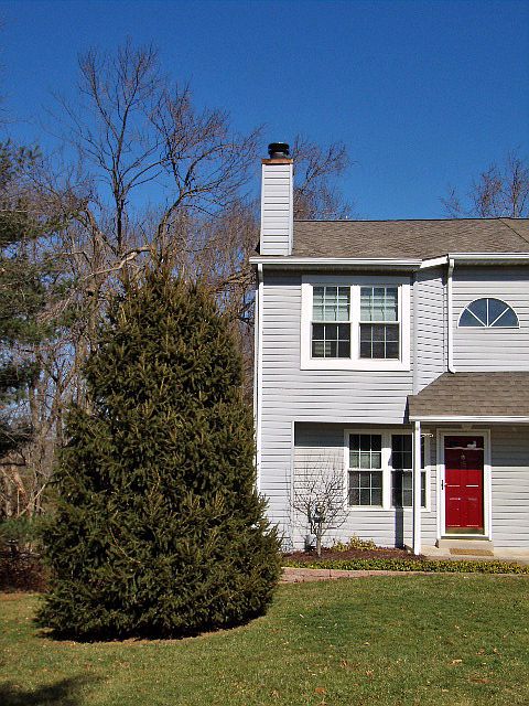 end unit backs to woods