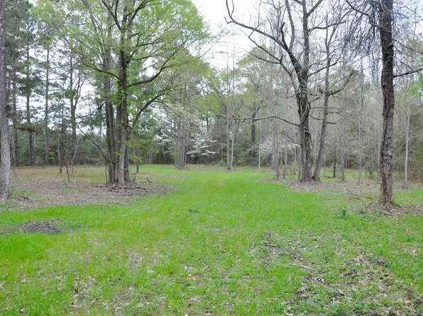 County Road 1580a, Avinger, TX 75630