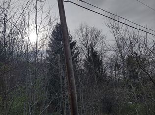 0 Bush Hill Rd #58, Canisteo, NY 14823