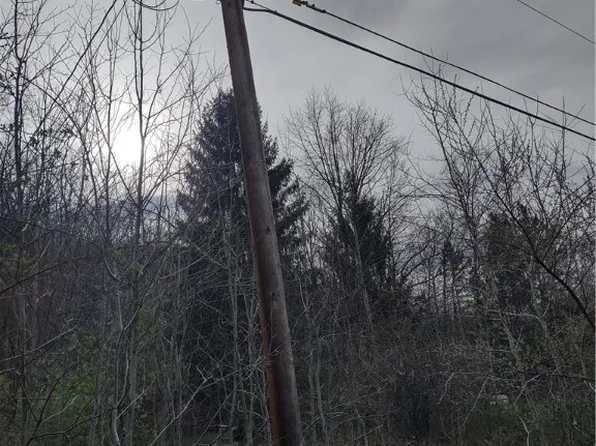 0 Bush Hill Rd #58, Canisteo, NY 14823