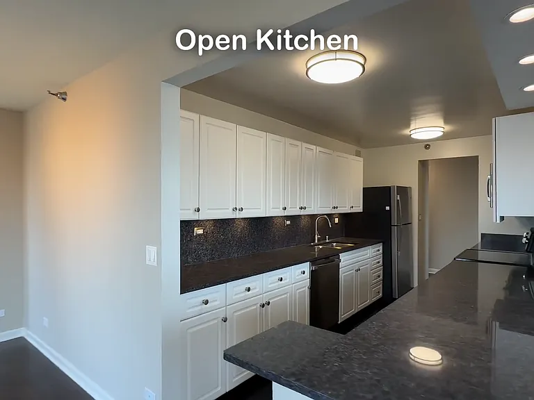 745 N Rush St #3203 — Photo 6