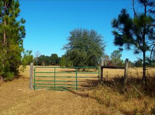 1357 SW Wilson Springs Rd, Fort White, FL 32038