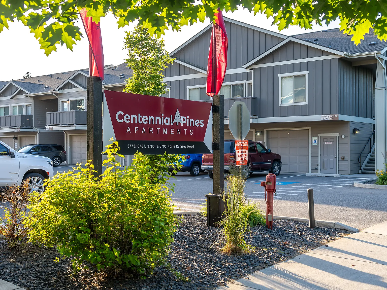 Centennial Pines — Photo 3