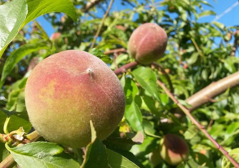 More pictures to come soon