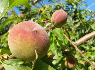 3878 Bucknall Rd, San Jose, CA 95130