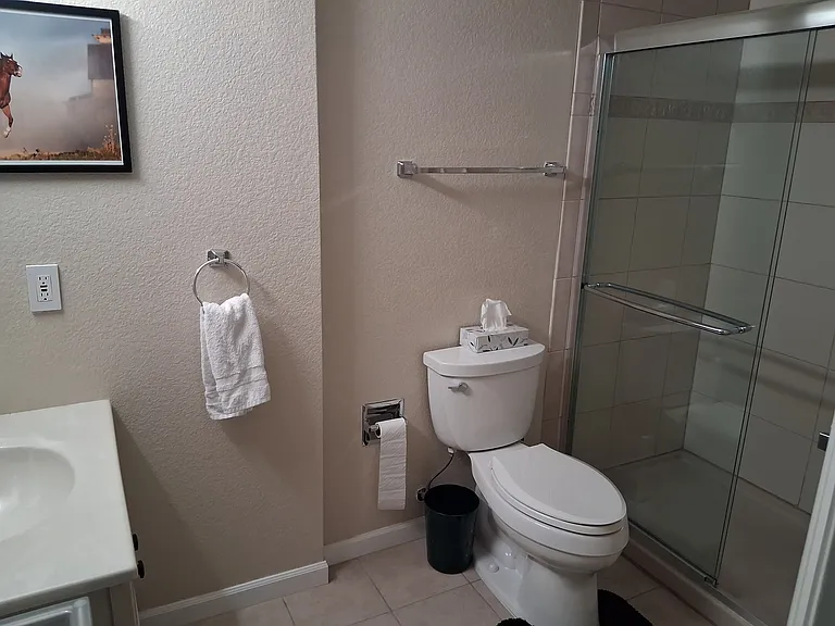 Downstairs bath