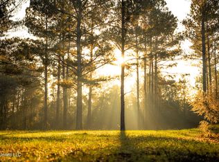 Newton Caney Creek Rd, Decatur, MS 39327