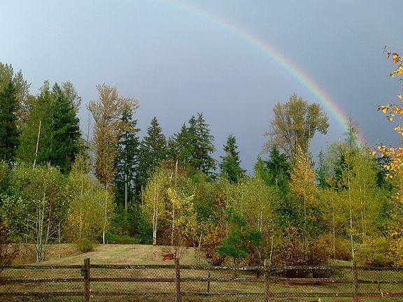 Spring rainbow