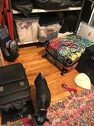 Rented by Francis Castoria LREB