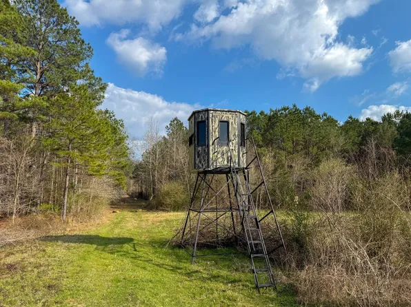 County Road 328, De Berry, TX 75639