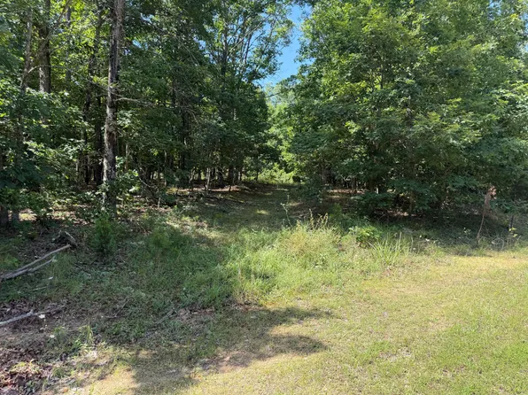 000 Golden Trail Lot 79, Raymondville, MO 65555
