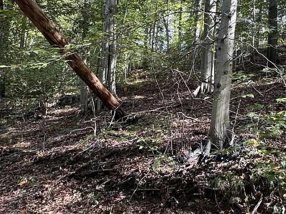 3rd image of 1 Laurel Ridge Ln